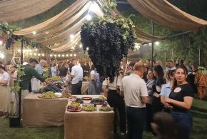 عرض عشرات الاصناف المحلية والعالمية من العنب.. فلاح نموذجي ينتج 37 نوعاً من العنب عنكاوة تحتفي بمهرجان “سلة العنب”