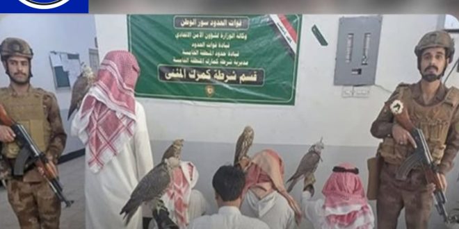 الداخلية: القبض على 4 صيادين كويتيين مخالفين للضوابط في بادية المثنى الداخلية: القبض على 4 صيادين كويتيين مخالفين للضوابط في بادية المثنى