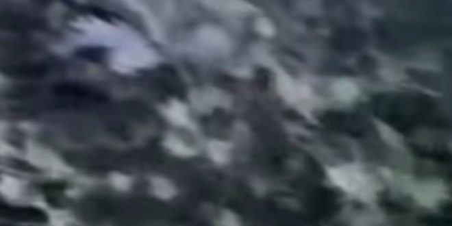 وزارة الداخلية  :قطاع الأمن الجنائي يضبط مزرعة ماريجوانا يديرها شخص من المقيمين بصورة غير قانونية وزارة الداخلية  :قطاع الأمن الجنائي يضبط مزرعة ماريجوانا يديرها شخص من المقيمين بصورة غير قانونية