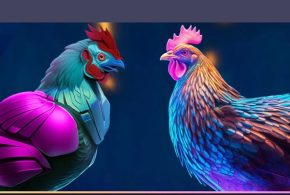 شركة نيو يولك.. تفتح ابواب الاستثمار امام المواطنين